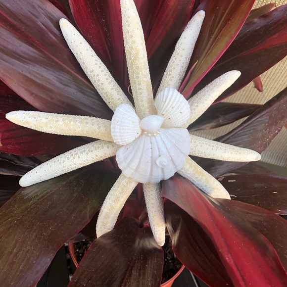 NEW! White Angel Wing Starfish Beach Coastal CHRISTMAS TREE STAR - Picture 2 of 6